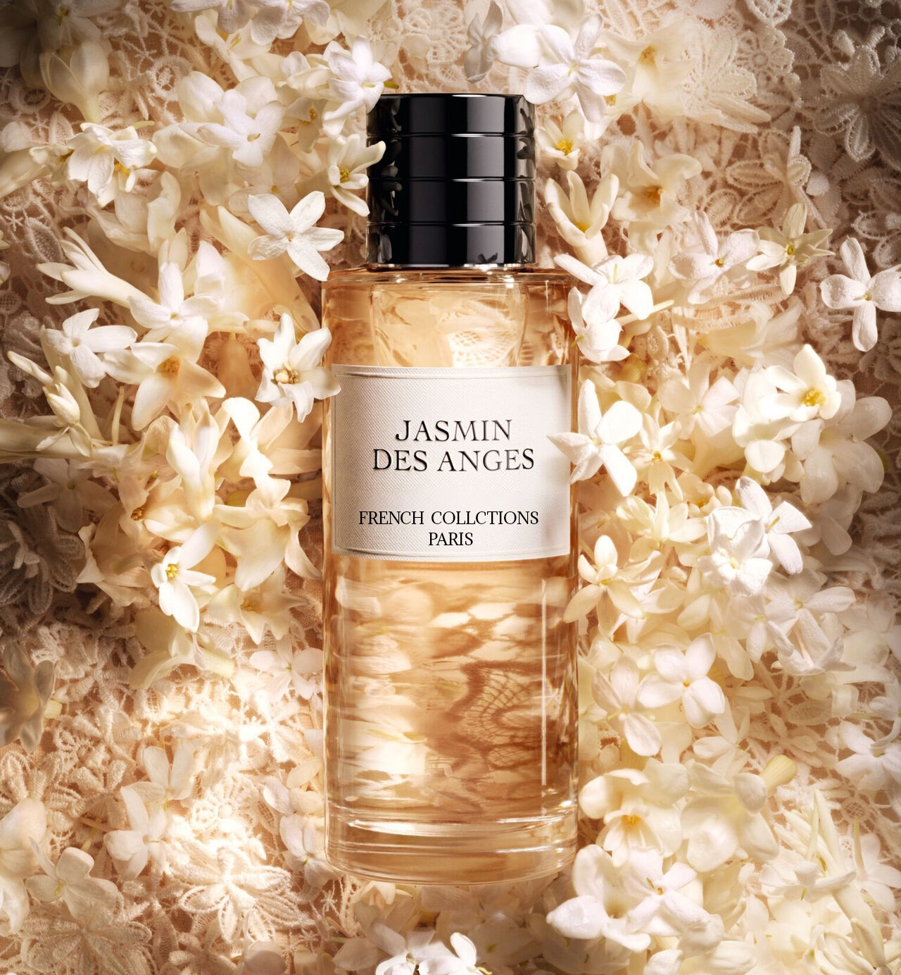 πΉπ°ππΌπΈπ½ π³π΄π π°π½πΆπ΄π π·πΆπΆ πΌπ»